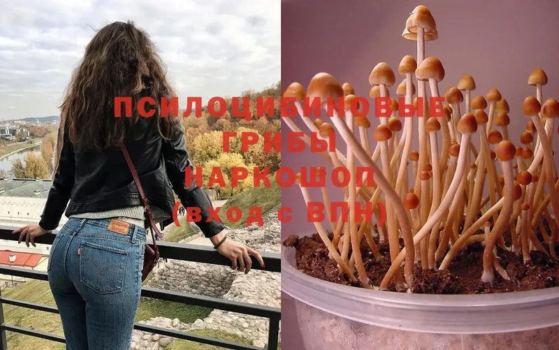 Галлюциногенные грибы MAGIC MUSHROOMS  купить наркотики сайты  hydra как войти  Шумиха 