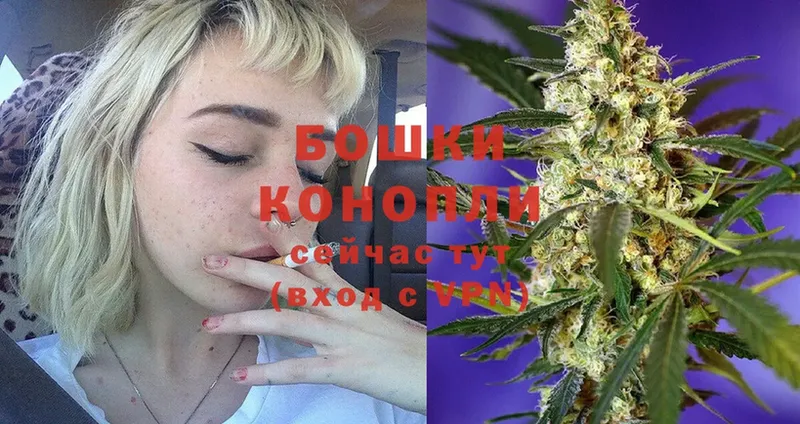 Каннабис конопля  сколько стоит  Шумиха 